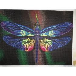 Diamond Painting "Libelle - Waterjuffertje" 42 x 32cm afgewerkt