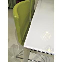 Moderne 4-persoons Eettafel met 4xStoelen zgan