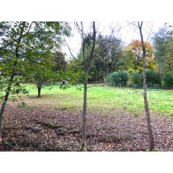 LIBRAMONT: Commerciële ruimte, 33m² – VAS1365B