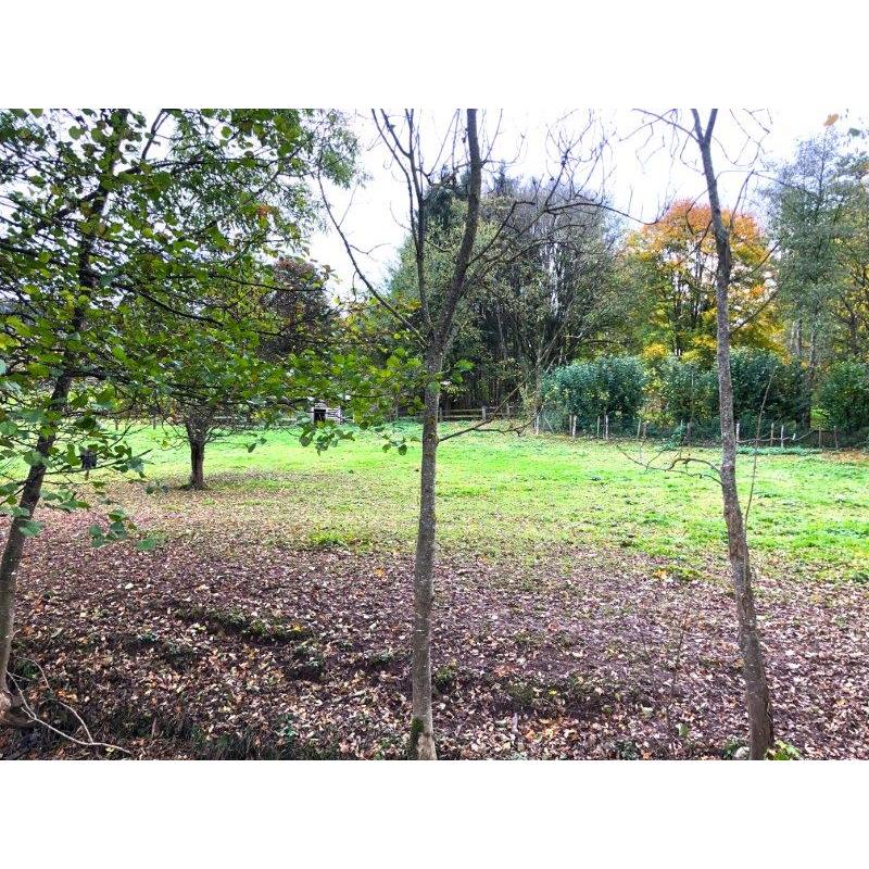 LIBRAMONT: Commerciële ruimte, 33m² – VAS1365B