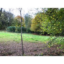 LIBRAMONT: Commerciële ruimte, 33m² – VAS1365B