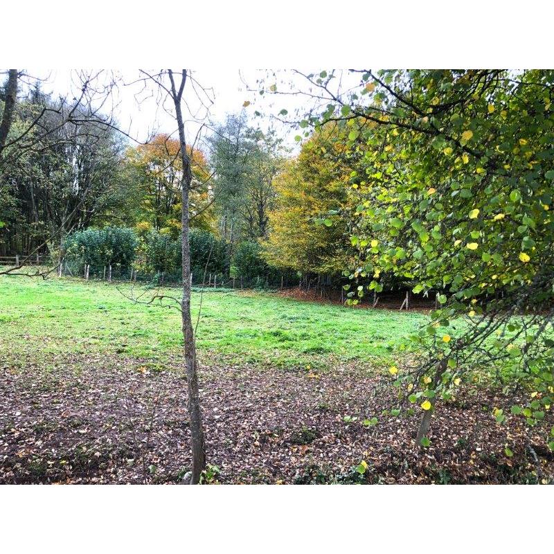 BASSE-BODEUX (Trois-Ponts): Bouwgrond – VAS1418