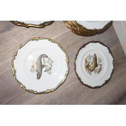 visservies