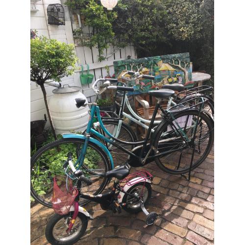 Combinatie van 18 fietsen en 15 wielen