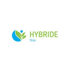 Hybride Accu/ Hybrid Battery Toyota Honda