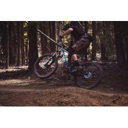 Marin Hawk Hill 1