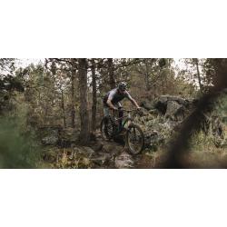 Marin Hawk Hill 1
