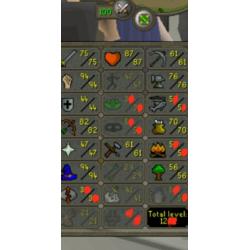 Verschillende osrs accounts te koop