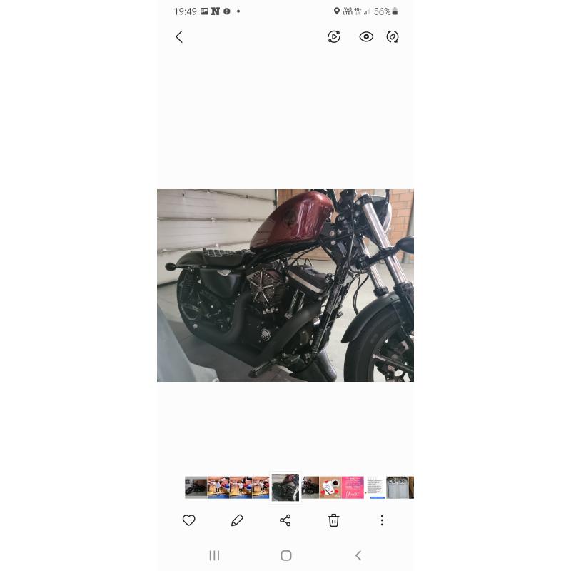 Harley davidson  xl883N