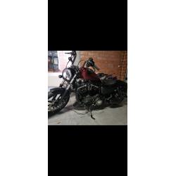 Harley davidson  xl883N