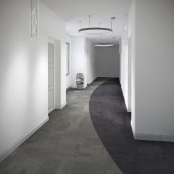 Transformation tapijttegels van Interface. Nieuwe voorraad