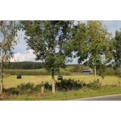 Rienne: Bouwgrond VAS1417