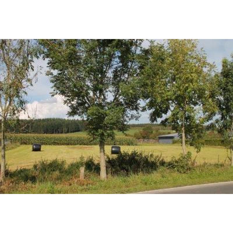 Rienne: Bouwgrond VAS1417