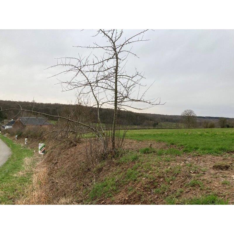 FORGE-PHILIPPE: bouwgrond, 10a70ca – VAS1362B