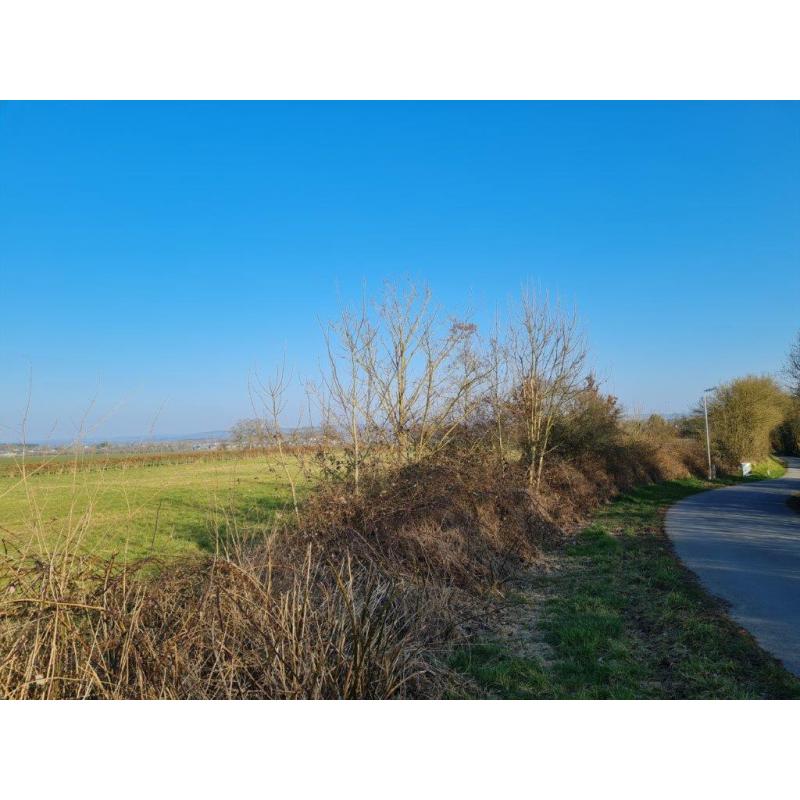 Grandhan: Bouwgrond VAS1349