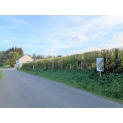 HOMPRÉ (Vaux-sur-Sûre): bouwgrond, 26a01ca – VAS1394