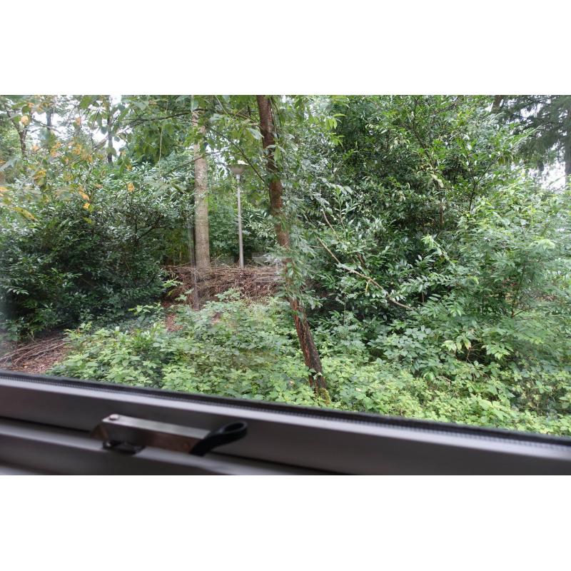 Chalet met eigen grond op de Veluwe Gld. NL