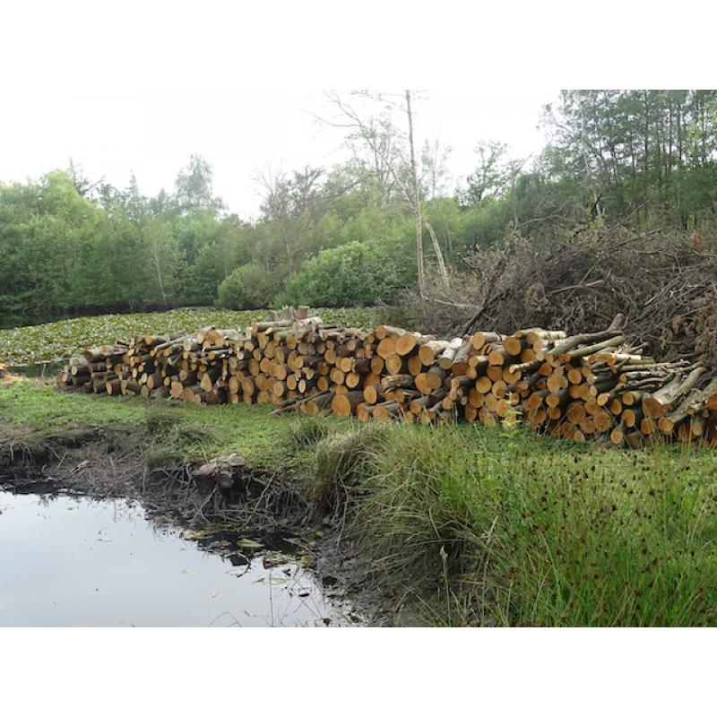 Brandhout te koop - zelf af te halen -  omgeving Hulshout