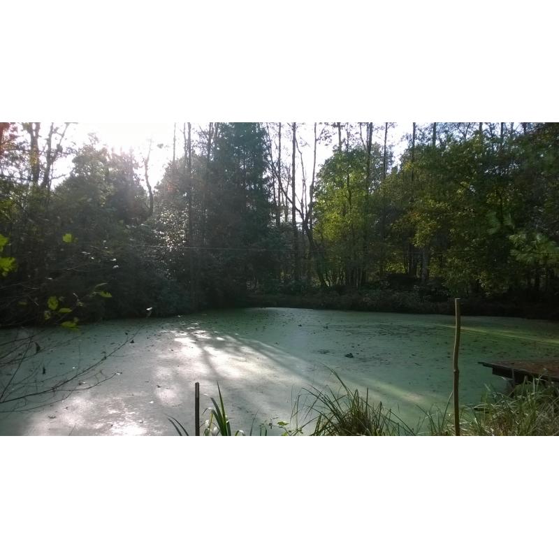 Perceel met vijver te koop