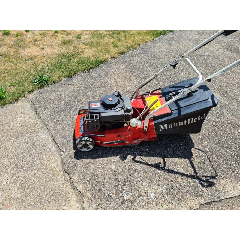 grasmachine benzine