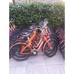 Gazelle M.P.B. single speed - batch 50 stuks