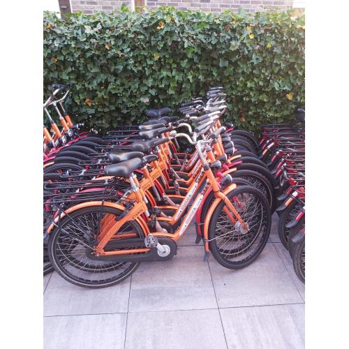 Gazelle M.P.B. single speed - batch 50 stuks