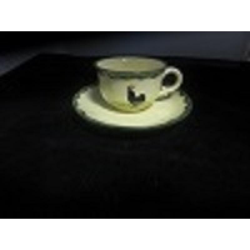 Espresso Kop en schotels Kip Haan servies