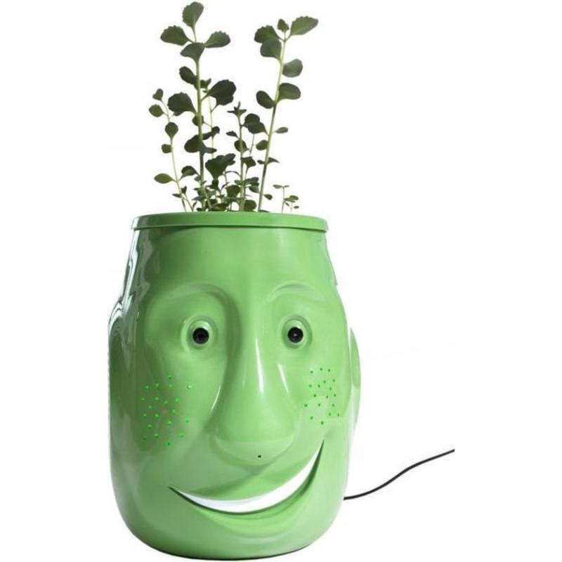 Billy Billy Zorgrobot - Billy Billy zorgt voor u - pratende bloempot