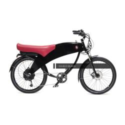 NIEUW Duo e-bike Lohner