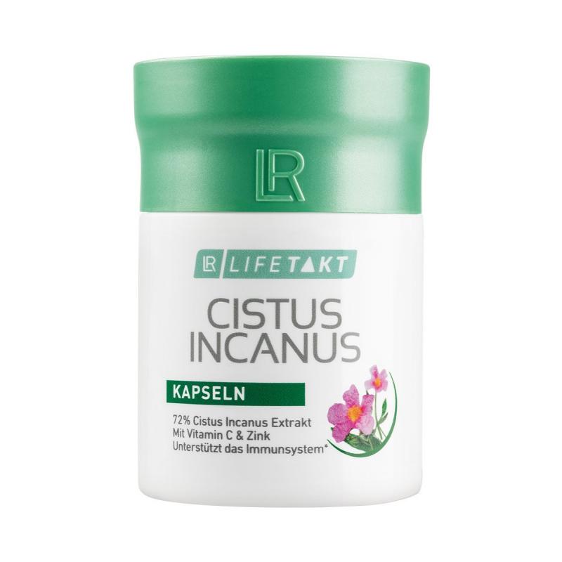 Boost je immuniteit én business!