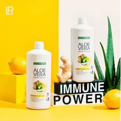 Boost je immuniteit én business!
