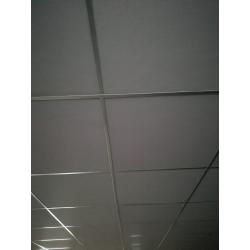 200m2 systeem plafond met led verlichting 20 dubbelspots en 20 enkel