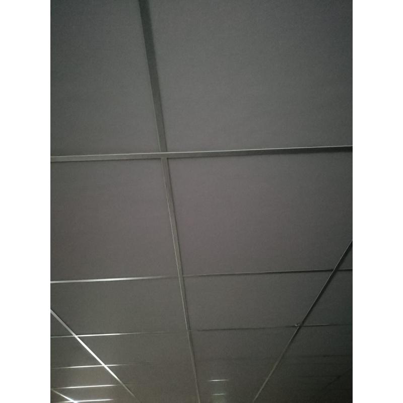 200m2 systeem plafond met led verlichting 20 dubbelspots en 20 enkel