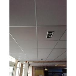 200m2 systeem plafond met led verlichting 20 dubbelspots en 20 enkel