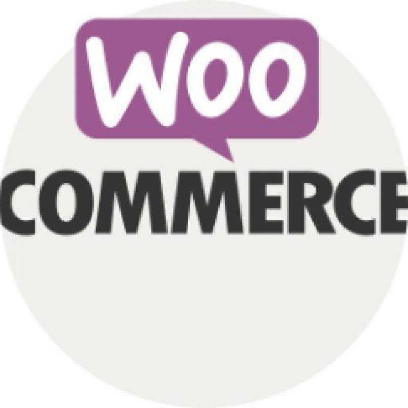 Website of webshop beginnen? va € 99,00 Wordpress website!