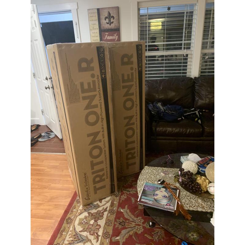 GoldenEar Technology Triton One Reference