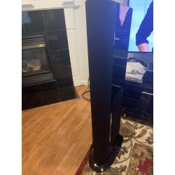 GoldenEar Technology Triton One Reference