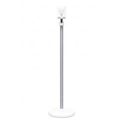 DYSON V11 Absolute Extra Pro -goud