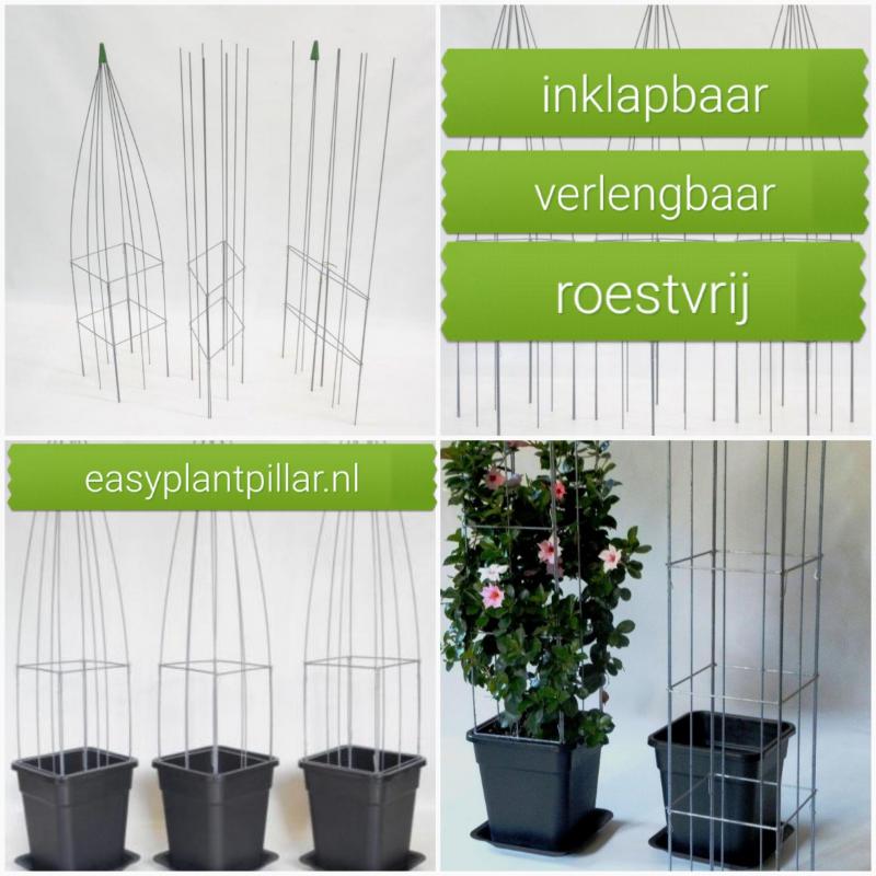 KLIMPLANTENSTEUNEN