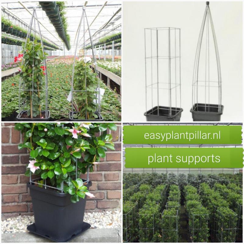 KLIMPLANTENSTEUNEN
