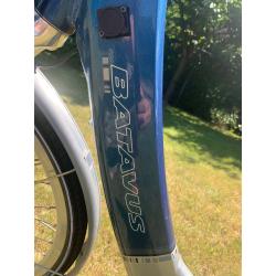 electrische fiets Batavus