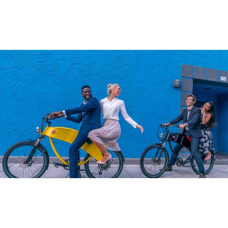 NIEUW Duo e-bike Lohner