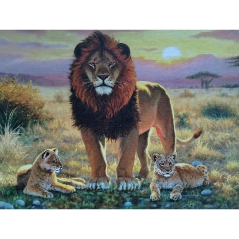 Puzzel clementoni
