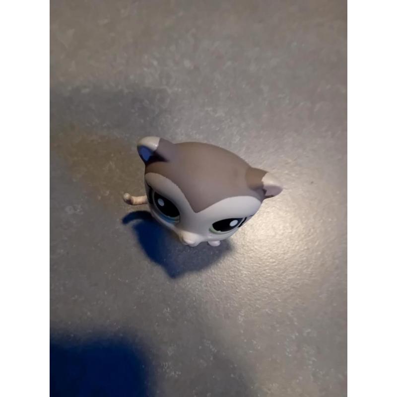 Petshop