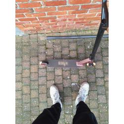 stuntstep