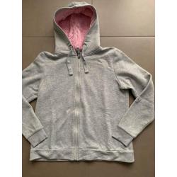 Grijze gilet maat large