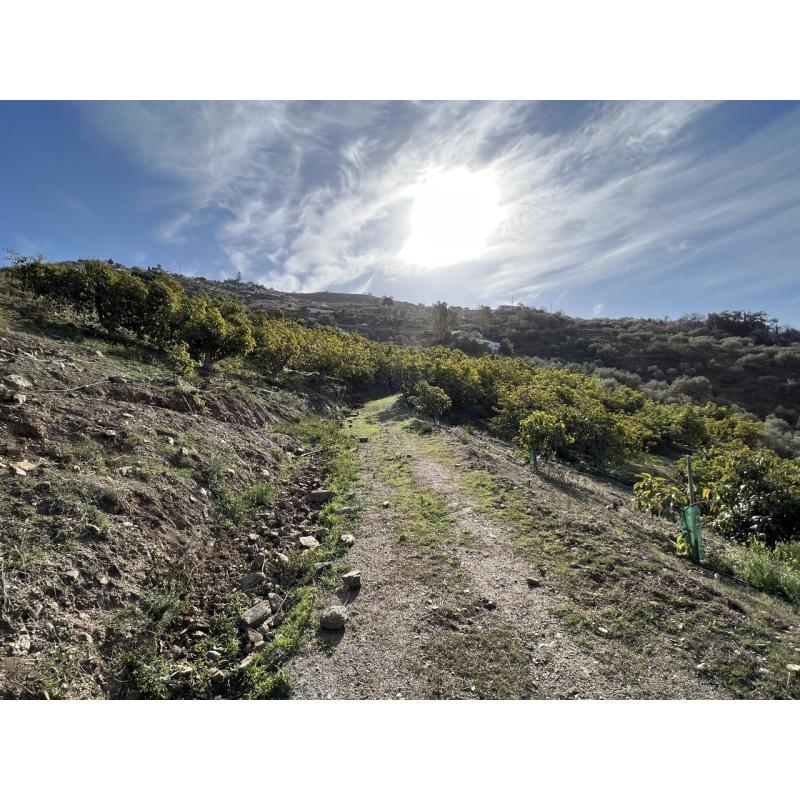 Finca in Andalucia met zeezicht en avocadoplantage