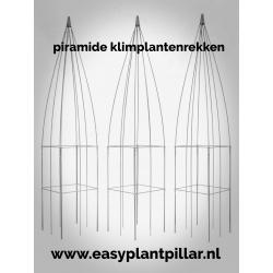klimplantrek modellen 2021 rozen clematis jasmijn