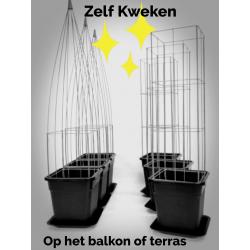 klimplantrek modellen 2021 rozen clematis jasmijn