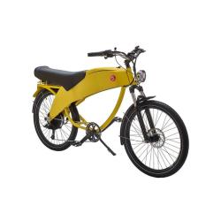 NIEUW Duo e-bike Lohner